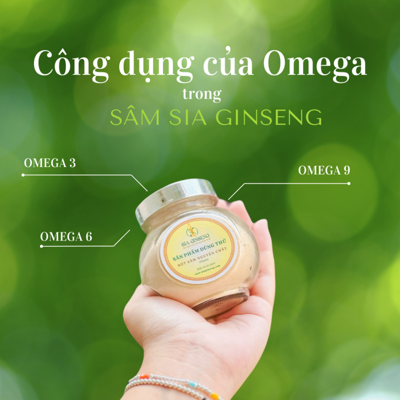 Bột sâm Abelmoschus Sagittifolius nguyên chất 100% - Hủ 20g