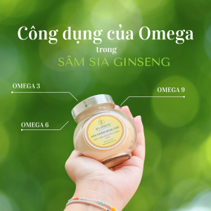 Các Công Dụng Của Omega 9 Trong Sâm Sia Ginseng