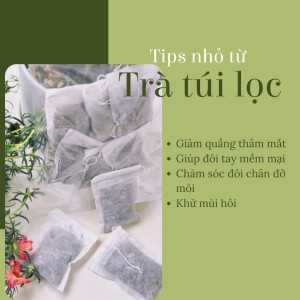 Trà Sâm Organic - Món Quà Thanh Nhã Cho Sức Khỏe.